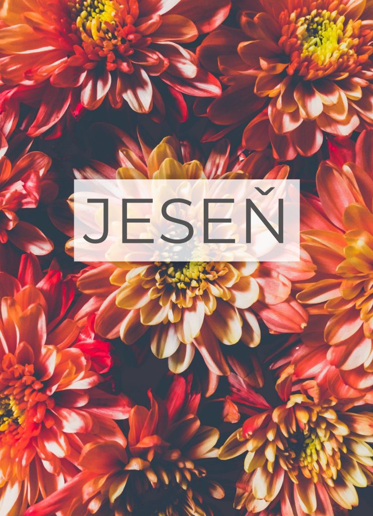 kvety_jesenna sezona